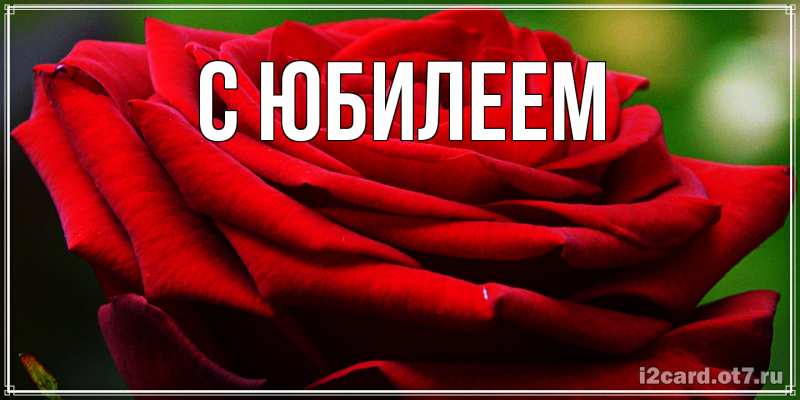 Картинка C юбилеем, 