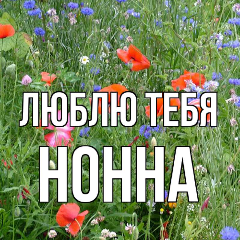 Картинка Люблю тебя, Нонна