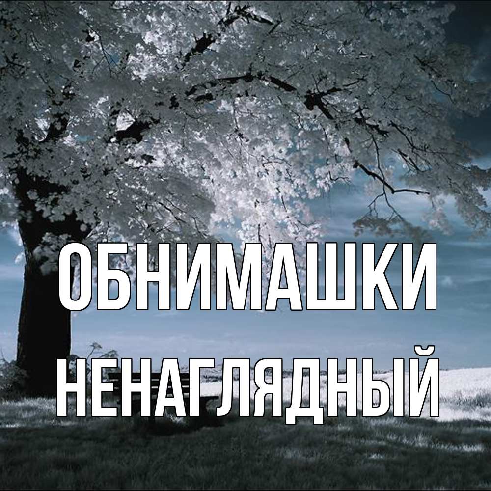 Открытка на каждый день с именем, Ненаглядный Обнимашки дерево Прикольная открытка с пожеланием онлайн скачать бесплатно 