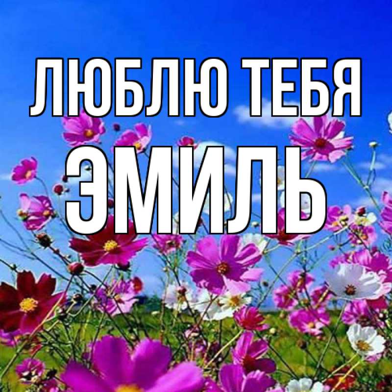 Картинка Люблю тебя, Эмиль