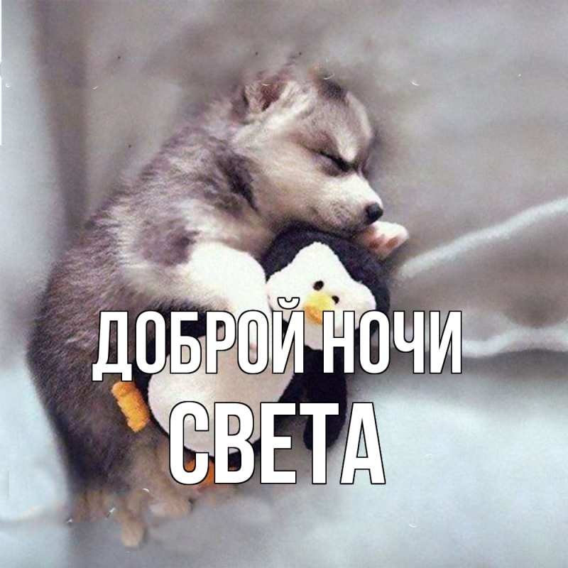 Картинка Доброй ночи, Света