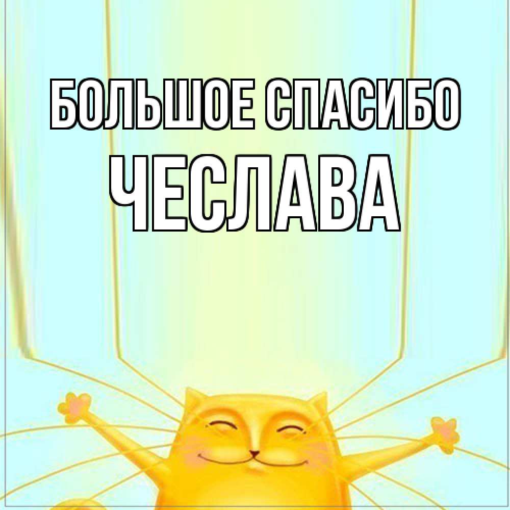Открытка на каждый день с именем, Чеслава Большое спасибо кот с усами благодарит Прикольная открытка с пожеланием онлайн скачать бесплатно 