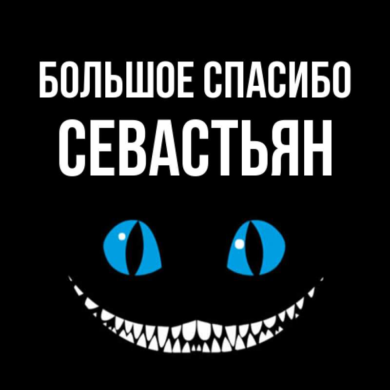 Картинка Большое спасибо, Севастьян