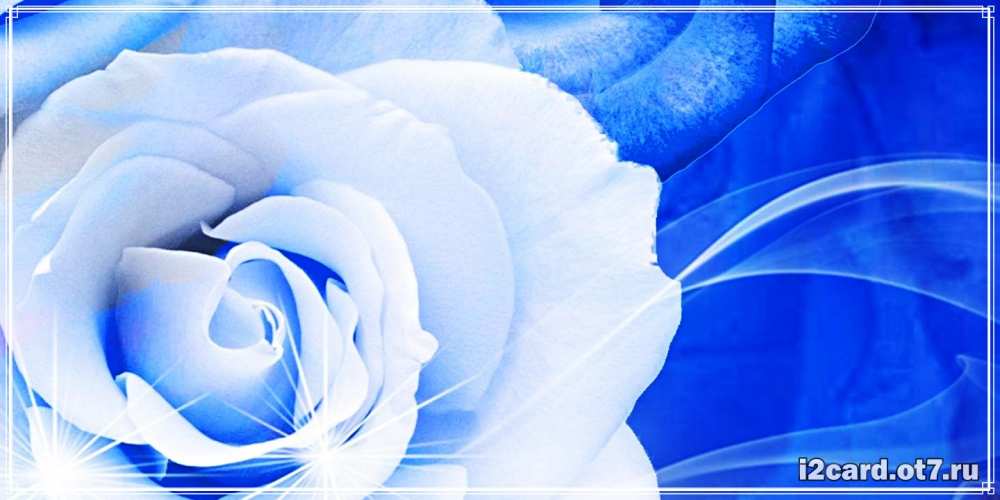 Открытка на каждый день с именем, Пимен C юбилеем белая роза на голубом фоне Прикольная открытка с пожеланием онлайн скачать бесплатно 
