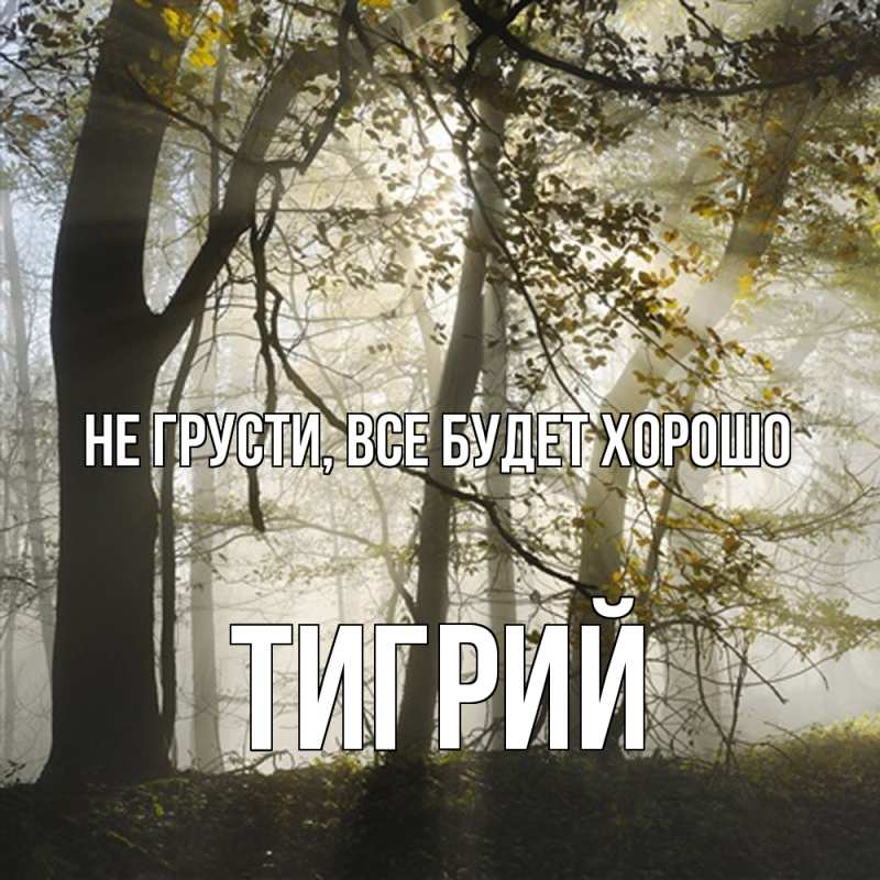 Открытка с именем, Тигрий, Не грусти, все будет хорошо