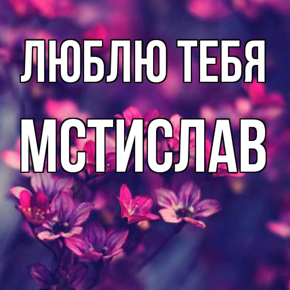 Открытка на каждый день с именем, Мстислав Люблю тебя небольшие цветы 1 Прикольная открытка с пожеланием онлайн скачать бесплатно 