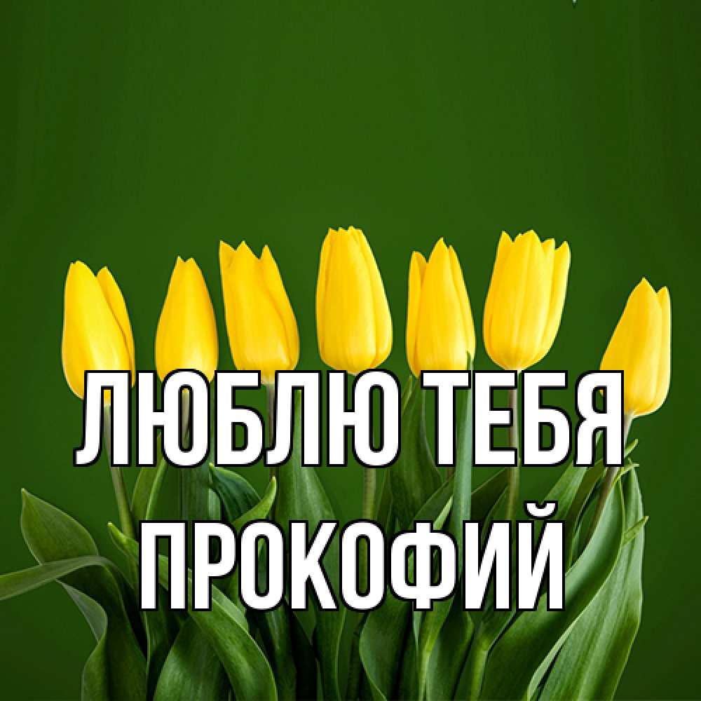 Открытка на каждый день с именем, Прокофий Люблю тебя желтого цвета 3 Прикольная открытка с пожеланием онлайн скачать бесплатно 