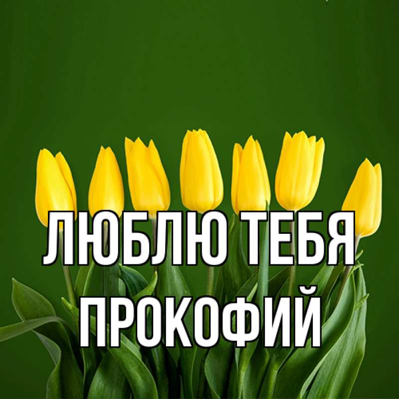 Картинка Люблю тебя, Прокофий