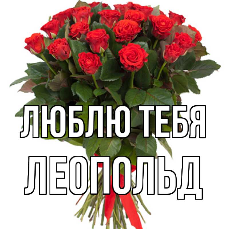 Картинка Люблю тебя, Леопольд