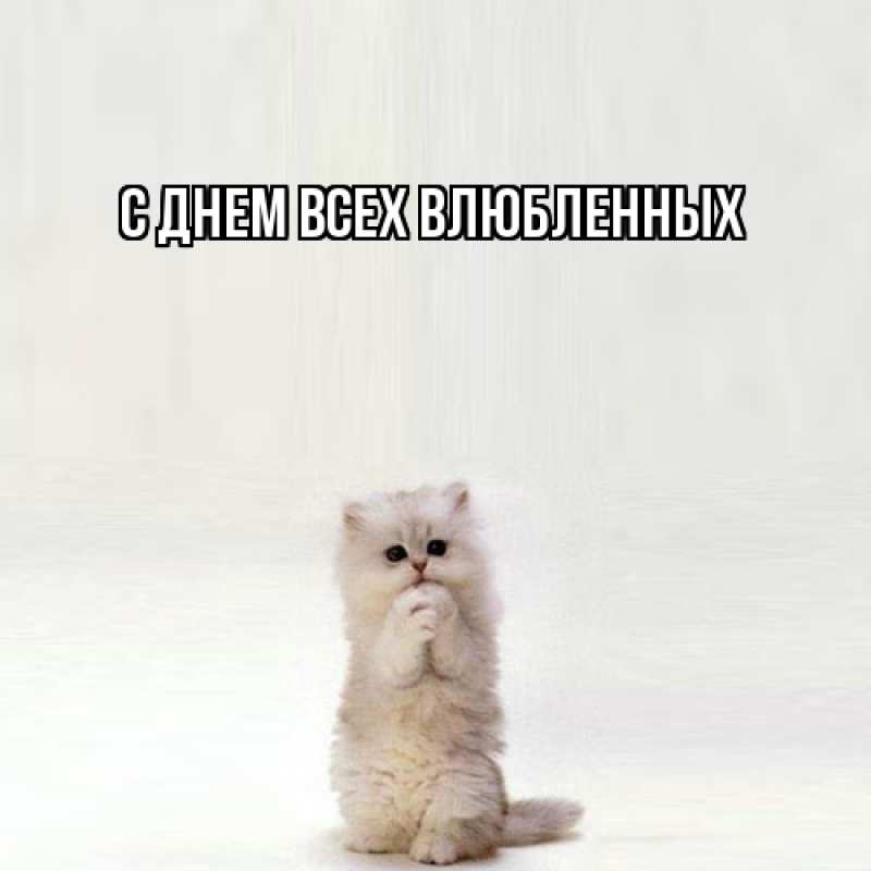 Картинка Обнимашки, 