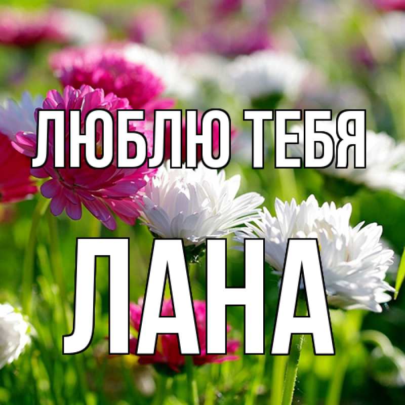 Картинка Люблю тебя, Лана