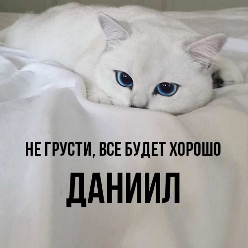 Картинка Не грусти, все будет хорошо, Даниил
