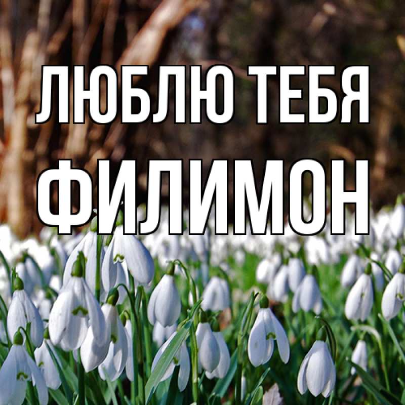 Картинка Люблю тебя, Филимон