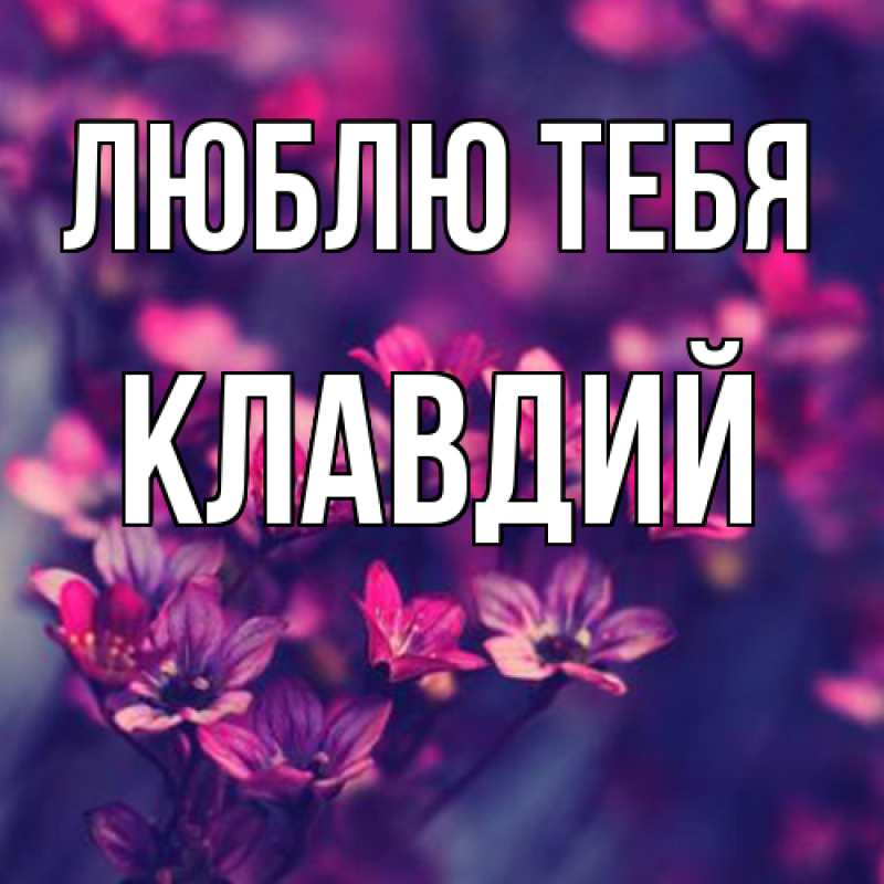 Картинка Люблю тебя, Клавдий