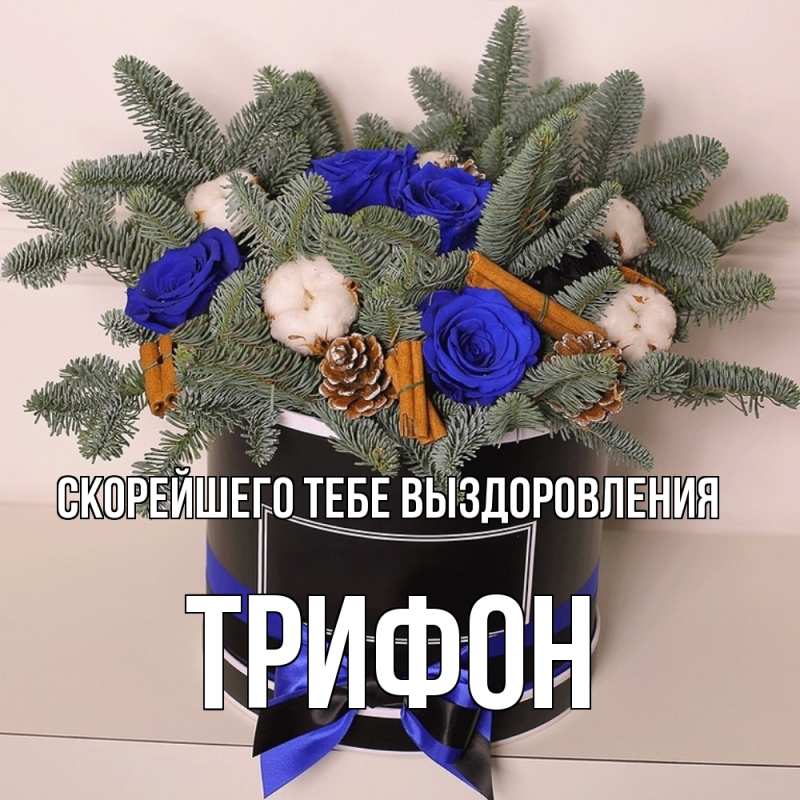 Картинка Скорейшего тебе выздоровления, Трифон
