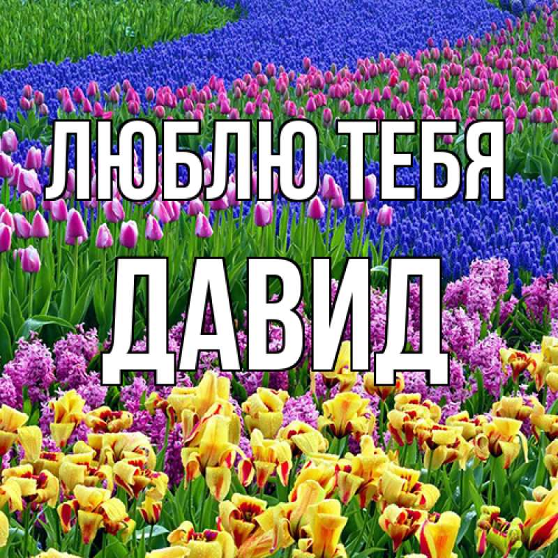 Открытка с именем, Давид, Люблю тебя