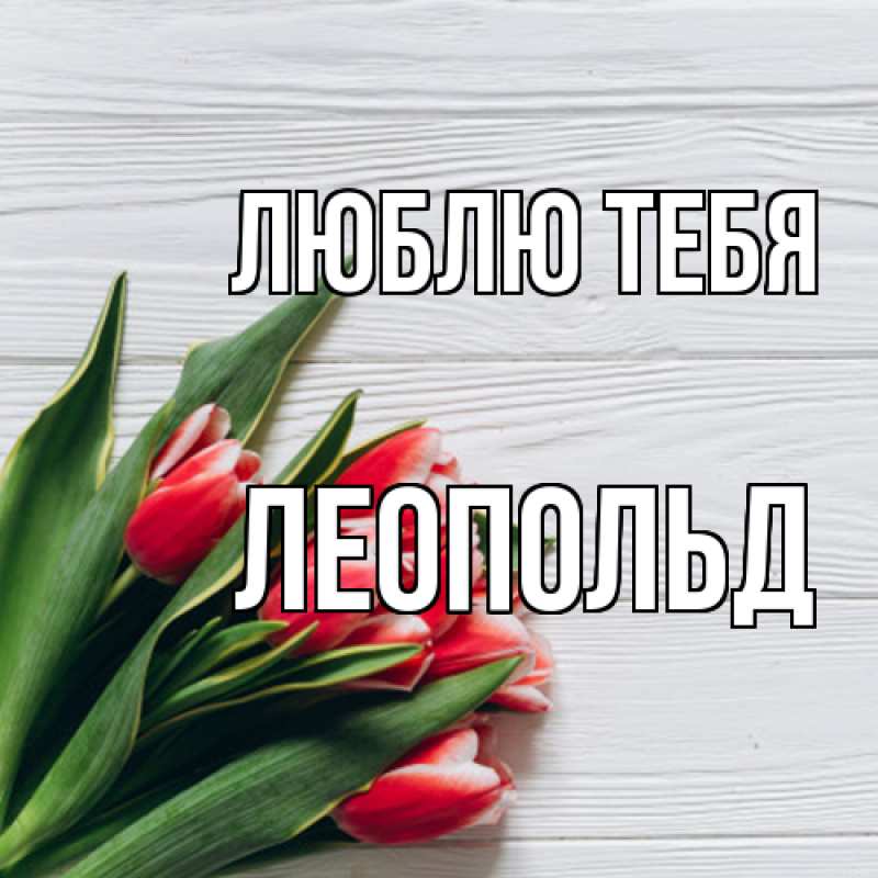 Картинка Люблю тебя, Леопольд
