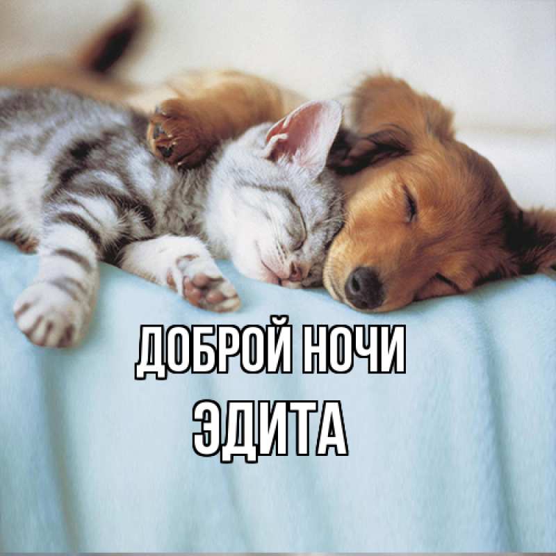 Картинка Доброй ночи, Эдита