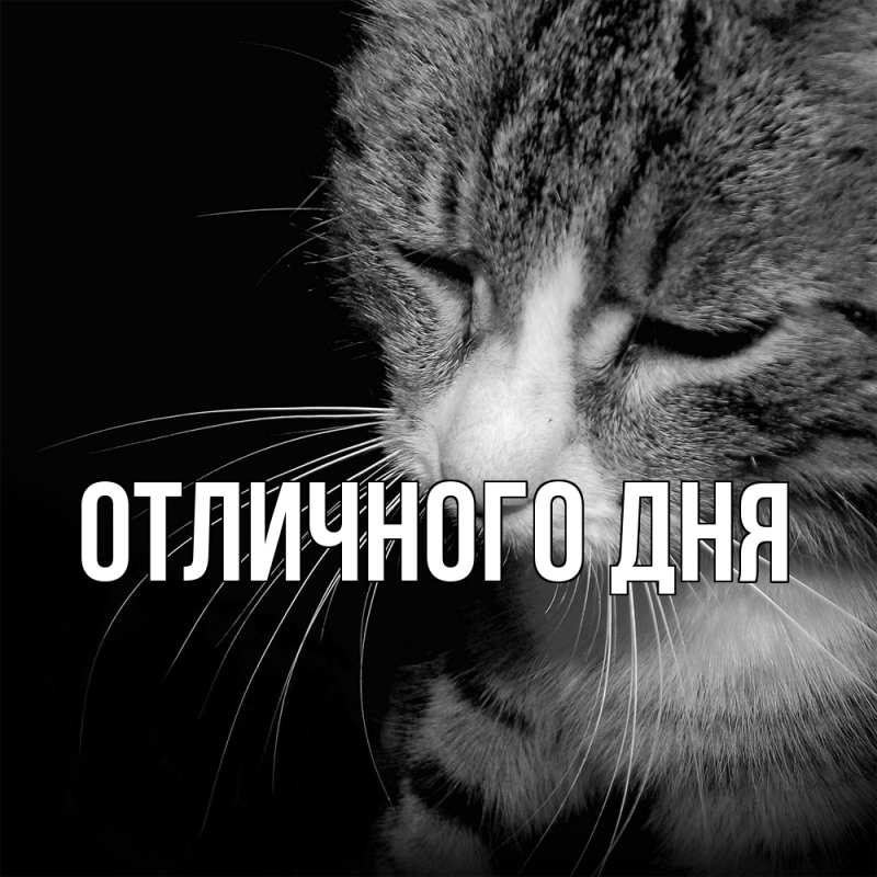 Картинка Скучашки, Вика