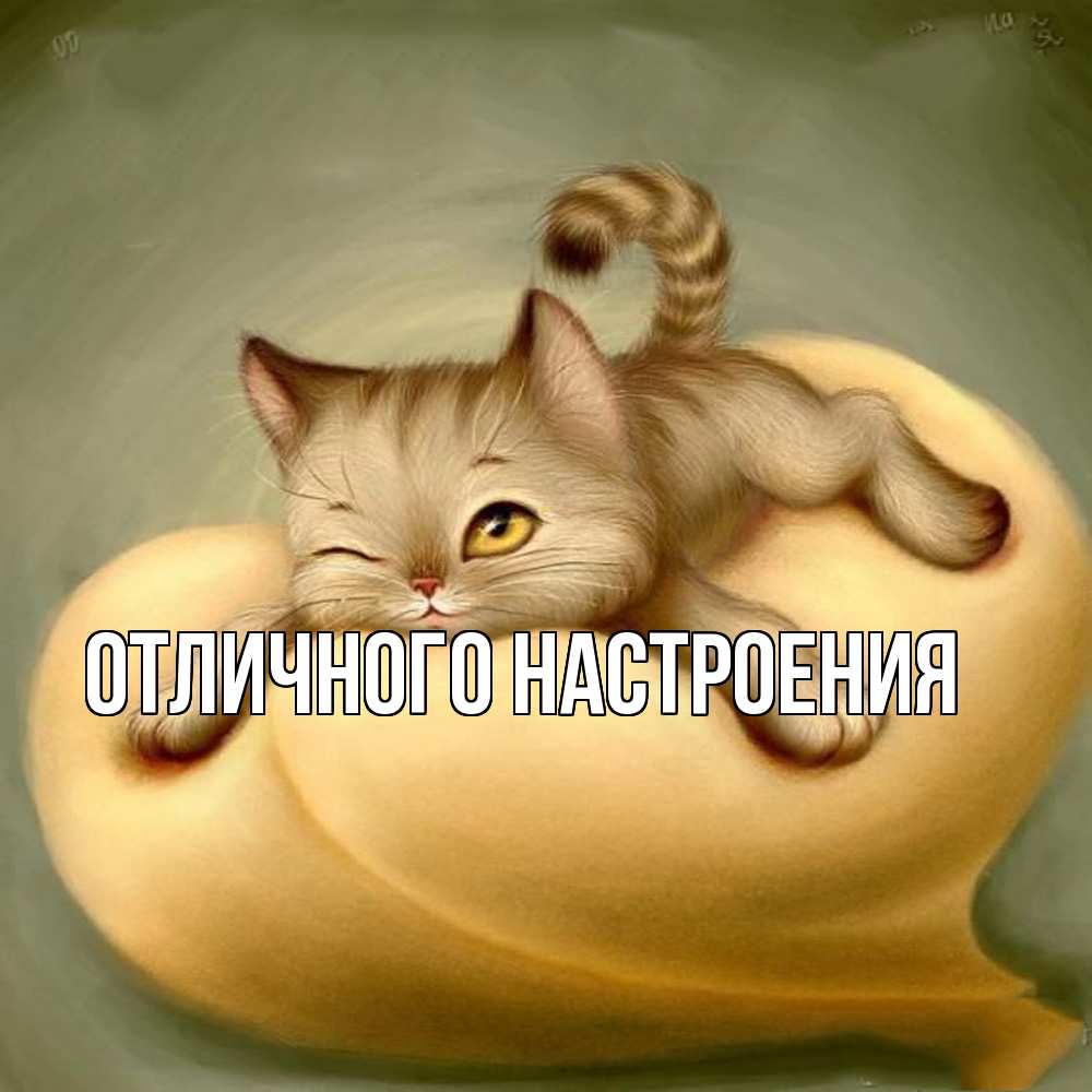 Открытка на каждый день с именем, Констанция Обнимашки кошечка Прикольная открытка с пожеланием онлайн скачать бесплатно 