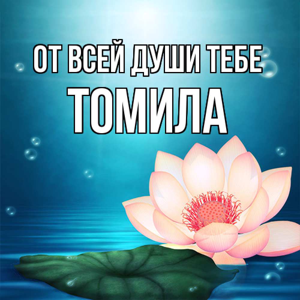 Открытка на каждый день с именем, Томила От всей души тебе кувшинка Прикольная открытка с пожеланием онлайн скачать бесплатно 