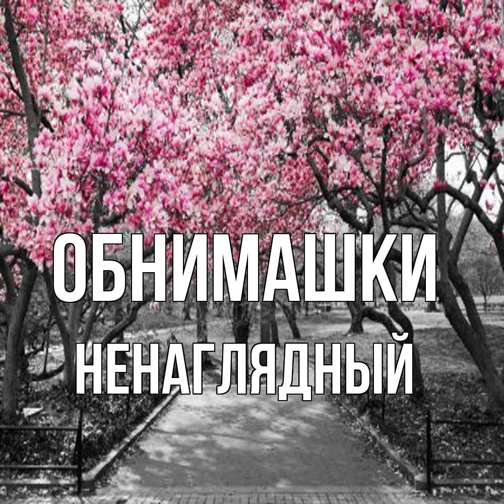 Открытка на каждый день с именем, Ненаглядный Обнимашки обработанное фото Прикольная открытка с пожеланием онлайн скачать бесплатно 