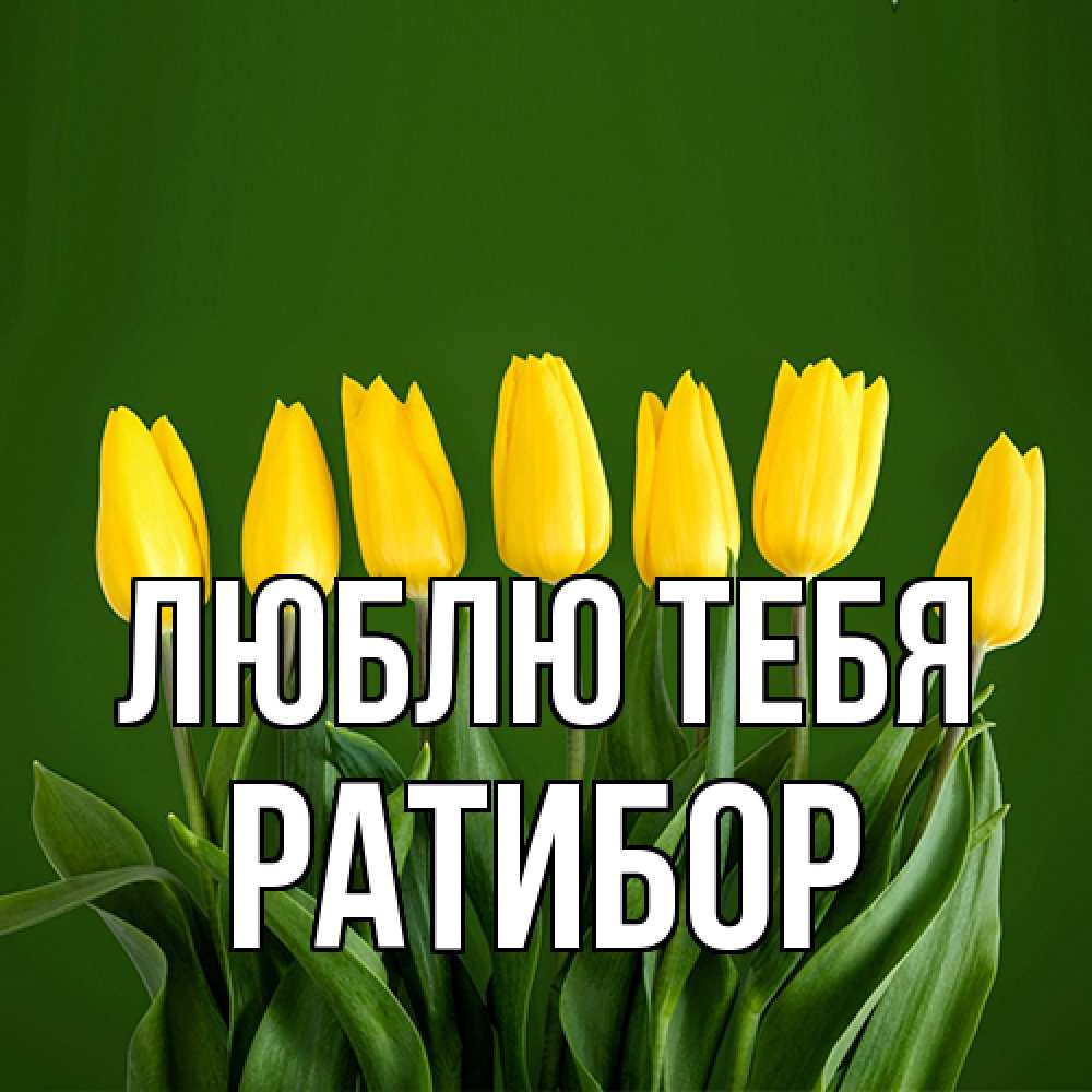 Открытка на каждый день с именем, Ратибор Люблю тебя желтого цвета 3 Прикольная открытка с пожеланием онлайн скачать бесплатно 