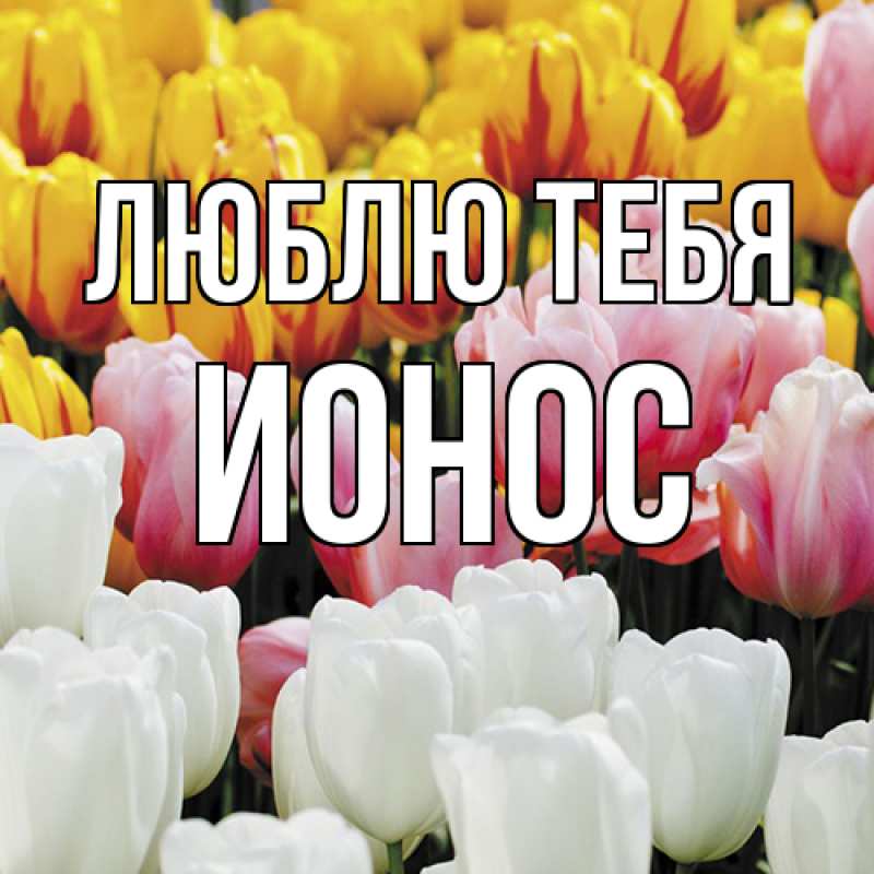 Картинка Люблю тебя, Ионос