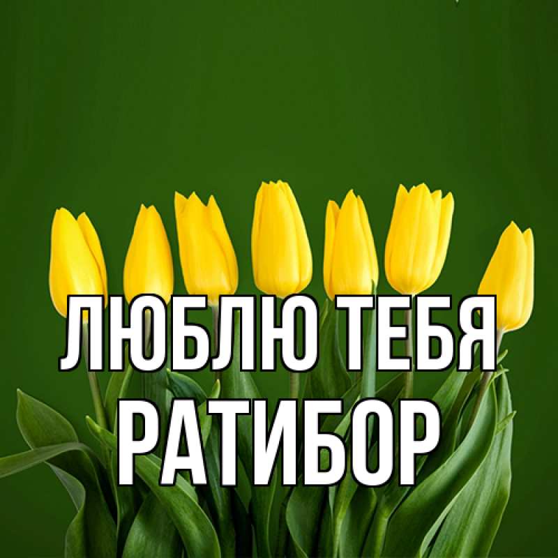 Картинка Люблю тебя, Ратибор