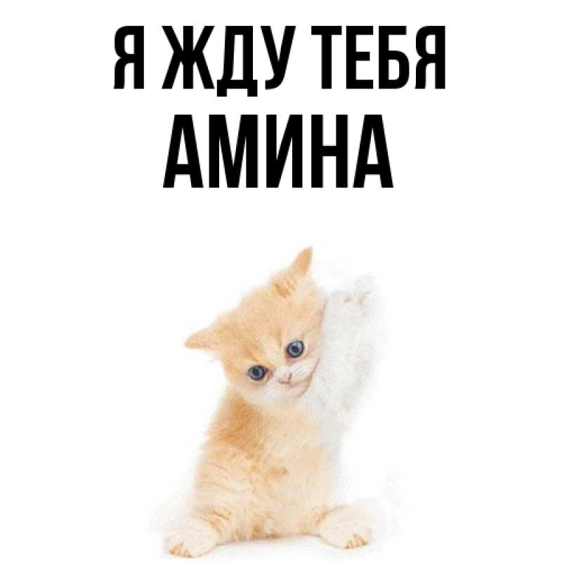 Открытка с именем, Амина, Я жду тебя