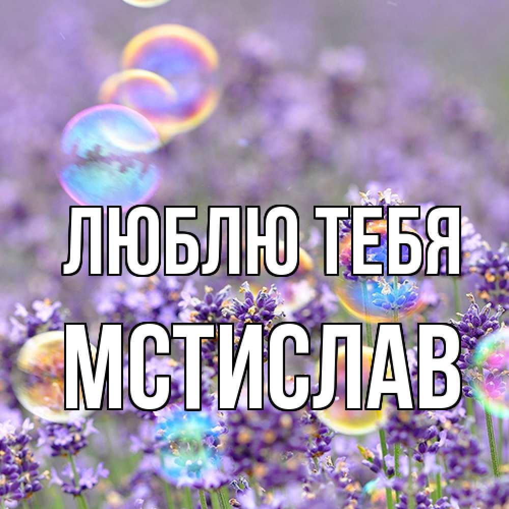 Открытка на каждый день с именем, Мстислав Люблю тебя цветы Прикольная открытка с пожеланием онлайн скачать бесплатно 