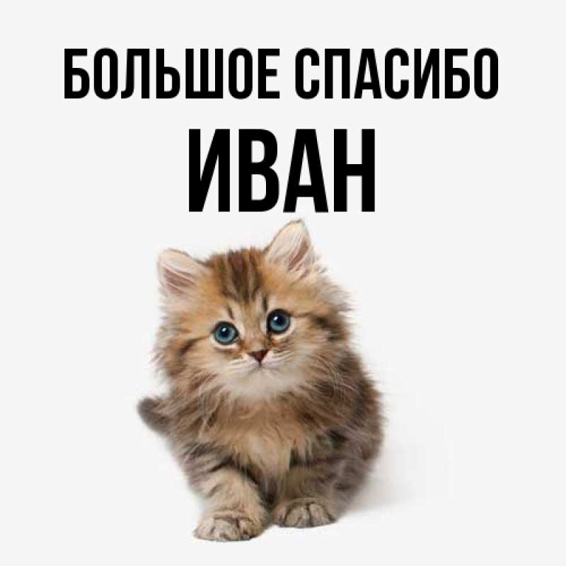 Открытка с именем, Иван, Большое спасибо
