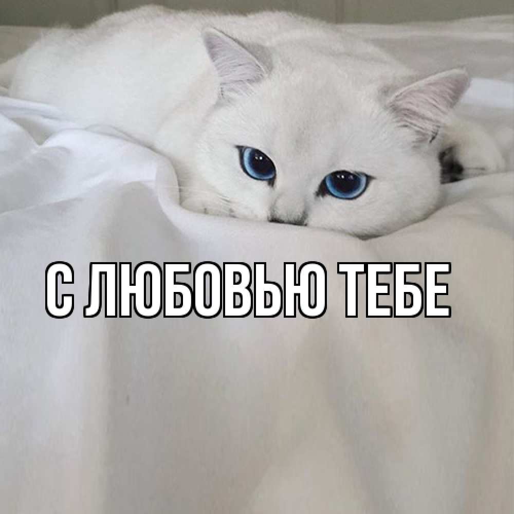 Открытка на каждый день с именем, Моя Я жду тебя я очень по тебе скучаю и тоскую Прикольная открытка с пожеланием онлайн скачать бесплатно 