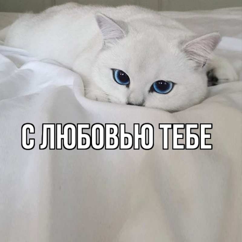 Картинка Я жду тебя, Моя