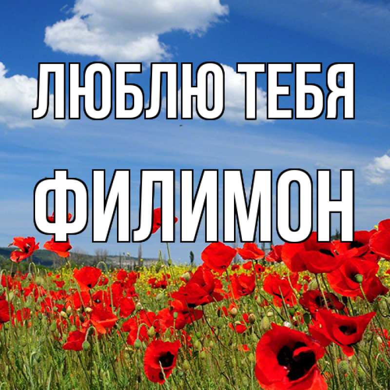 Картинка Люблю тебя, Филимон