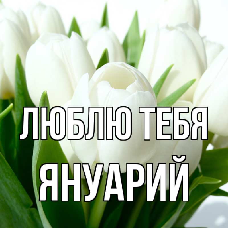 Картинка Люблю тебя, Януарий