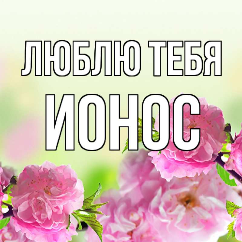 Картинка Люблю тебя, Ионос