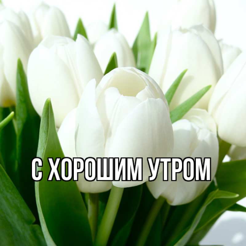 Картинка С хорошим утром, 