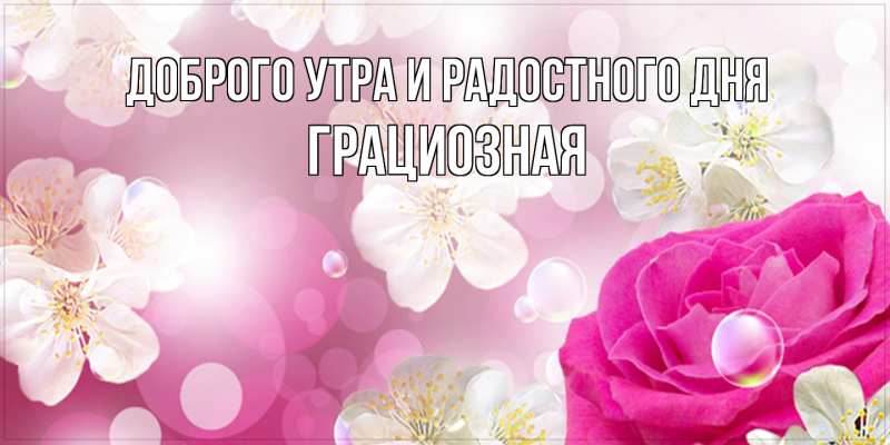 Картинка Доброго утра и радостного дня, Грациозная