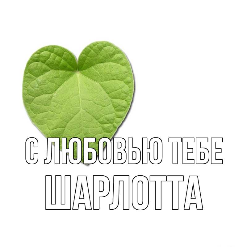 Картинка С любовью тебе, Шарлотта