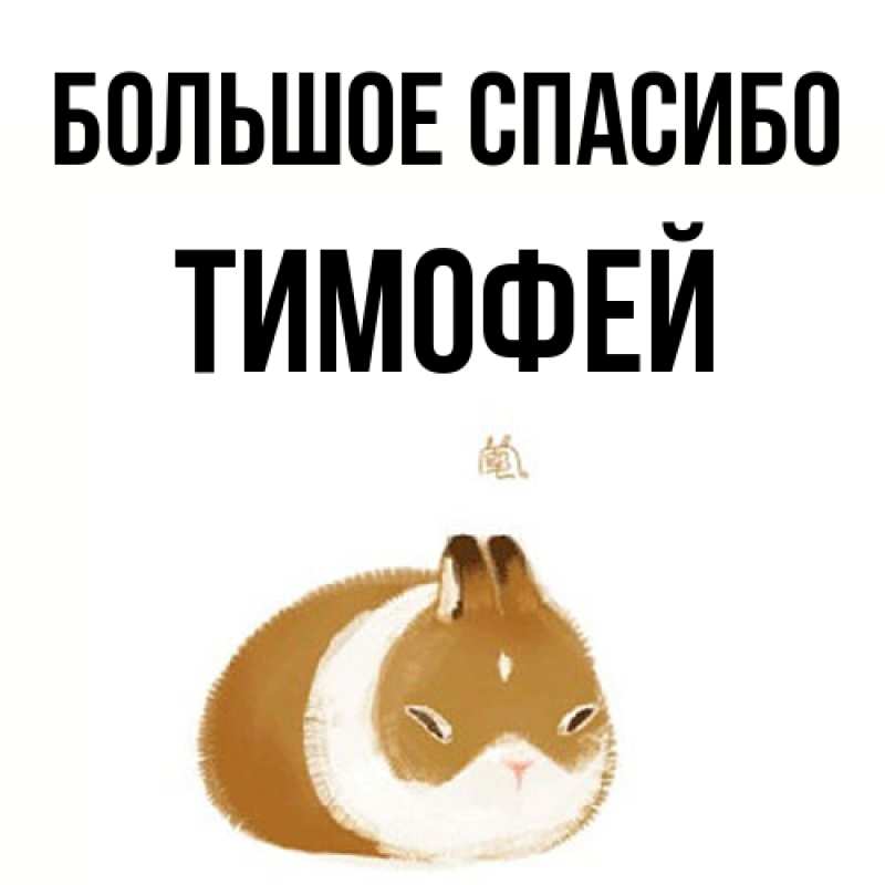 Открытка с именем, Тимофей, Большое спасибо