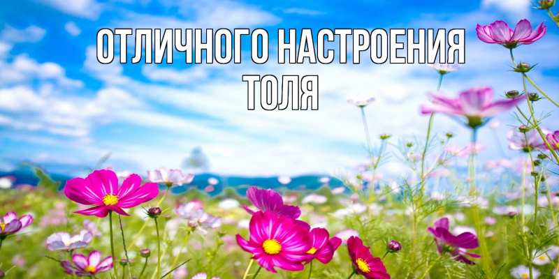 Картинка Отличного настроения, Толя