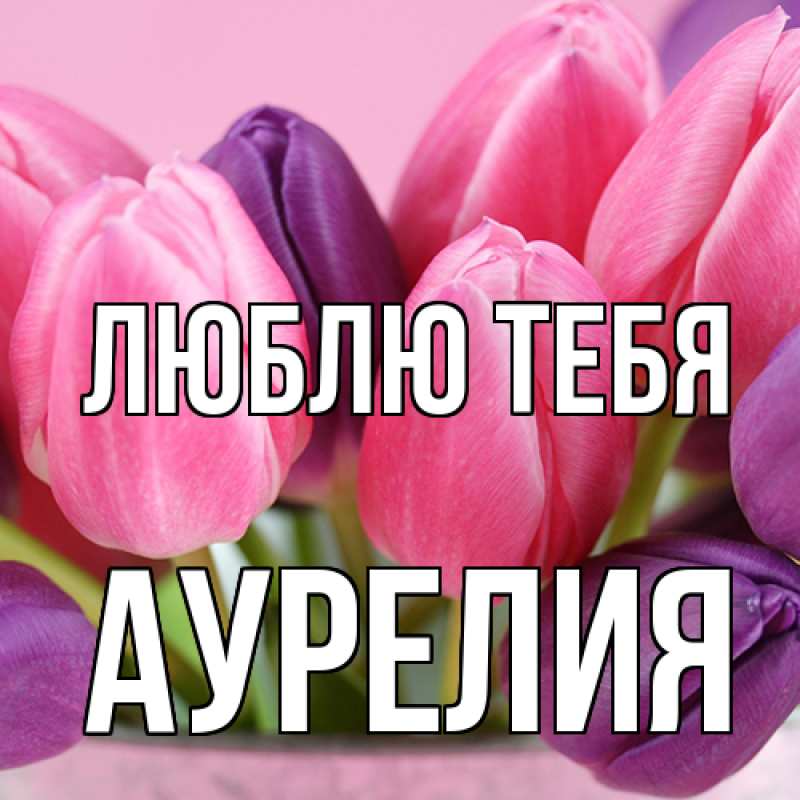 Картинка Люблю тебя, Аурелия