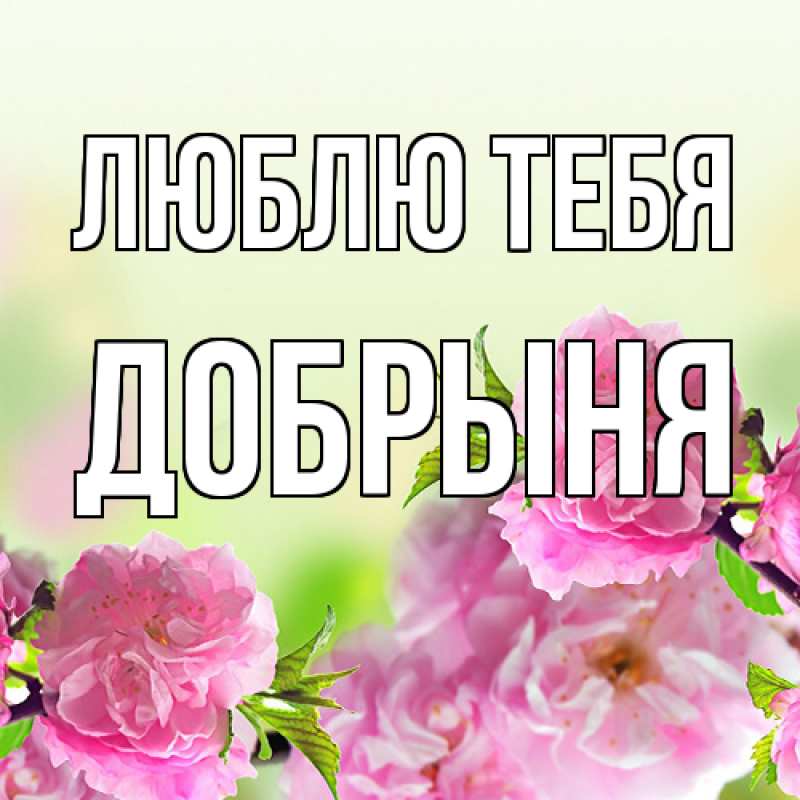 Картинка Люблю тебя, Добрыня