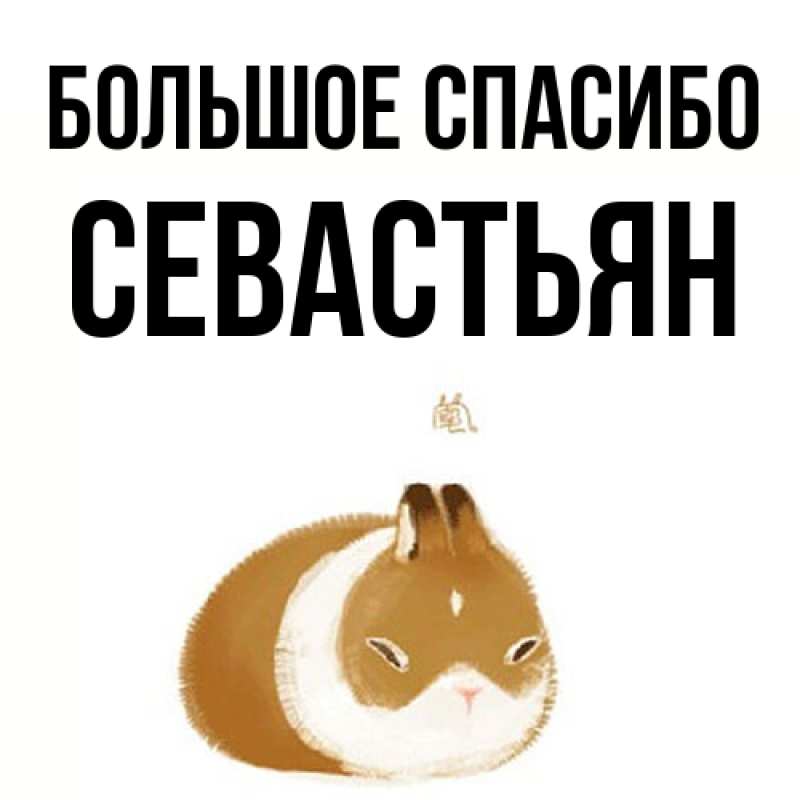 Картинка Большое спасибо, Севастьян
