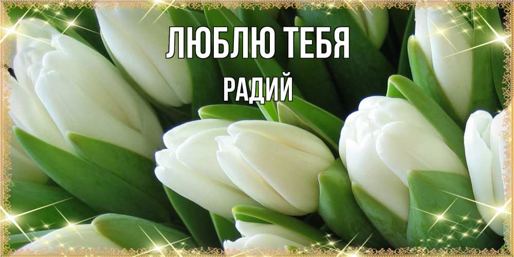 Открытка на каждый день с именем, Радий Люблю тебя поздравляем с 8 марта Прикольная открытка с пожеланием онлайн скачать бесплатно 