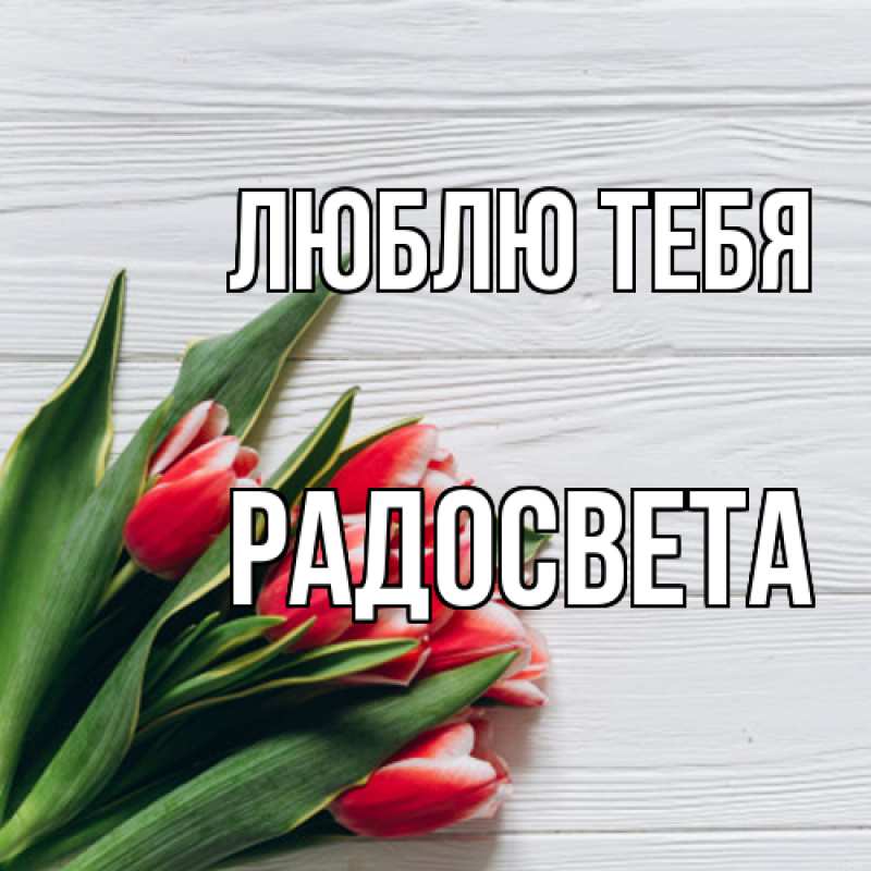 Картинка Люблю тебя, Радосвета