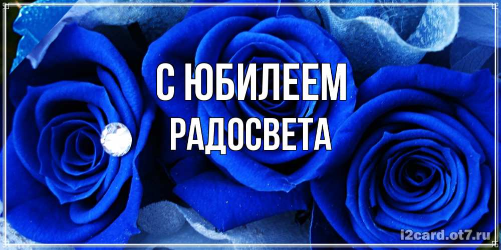 Открытка на каждый день с именем, Радосвета C юбилеем синие розы в росе Прикольная открытка с пожеланием онлайн скачать бесплатно 