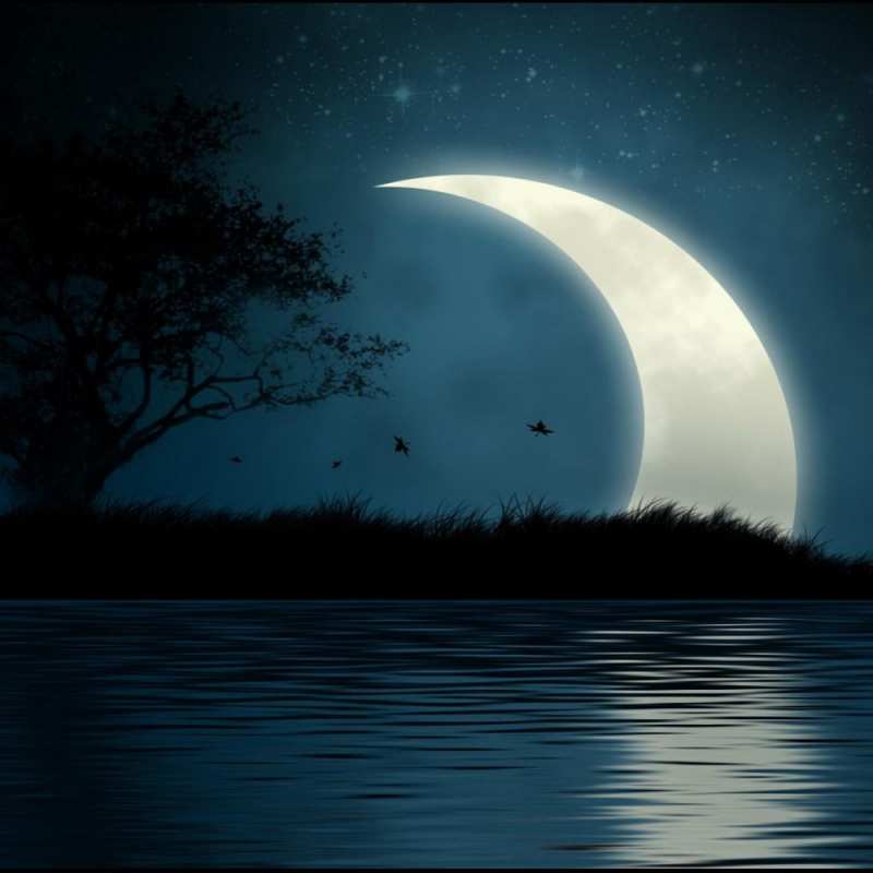 Картинка Доброй ночи, Аполлинарий