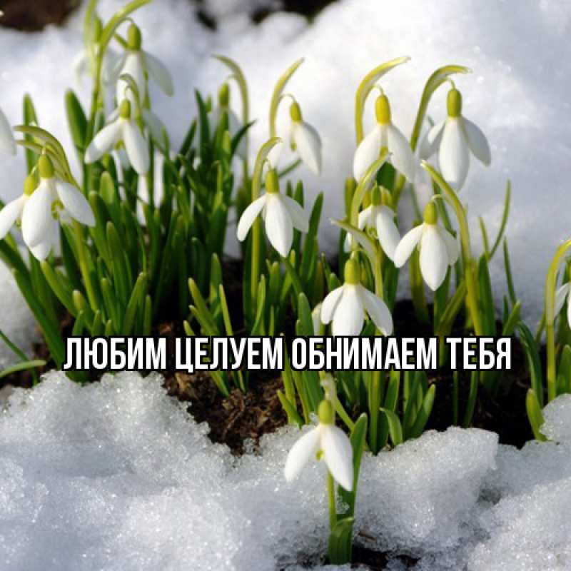 Картинка Люблю тебя, Ненаглядный мой